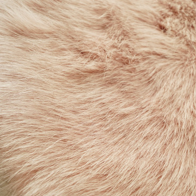 Хутро штучний песець (пудра)
